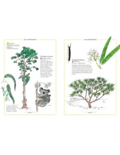 Inventario Illustrato degli Alberi - Ricco di dettagli -... 2